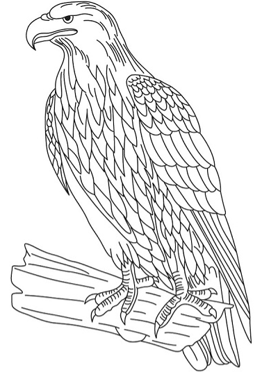 Coloriage Aigle D’or à imprimer