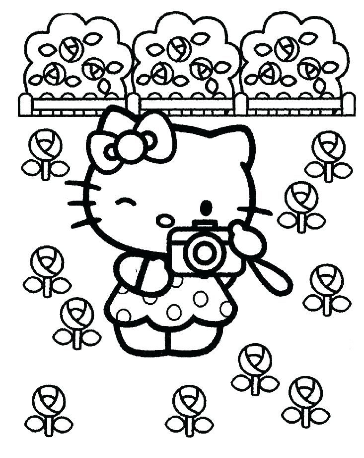 Coloriage Hello Kitty et appareil photo à imprimer