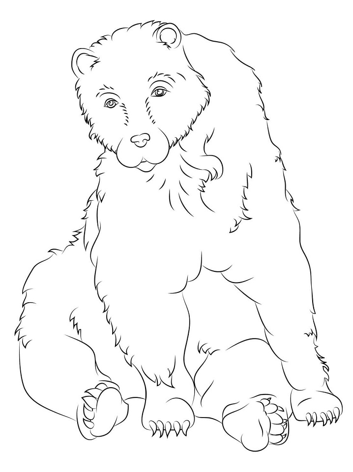 Coloriage Urso Pardo Sentado à imprimer