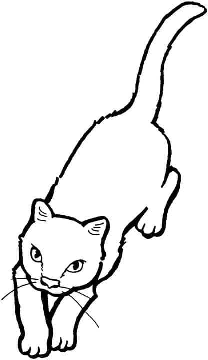 Coloriage chat 1 à imprimer