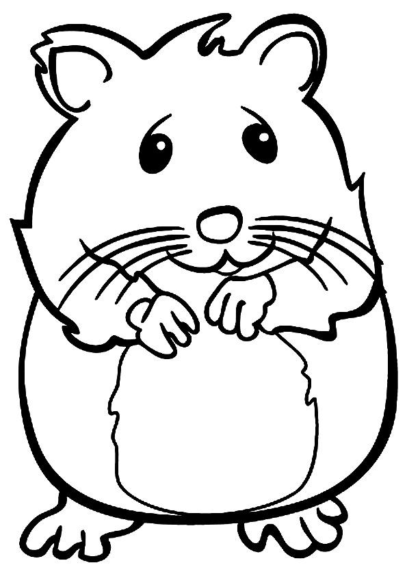 Coloriage Hamster Souriant