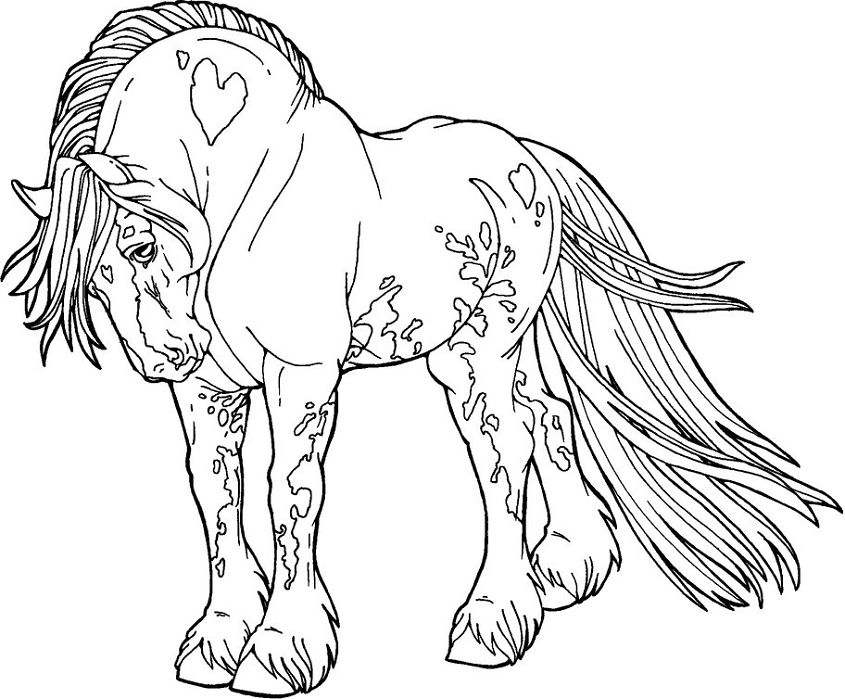 Coloriage Beau Cheval Mustang