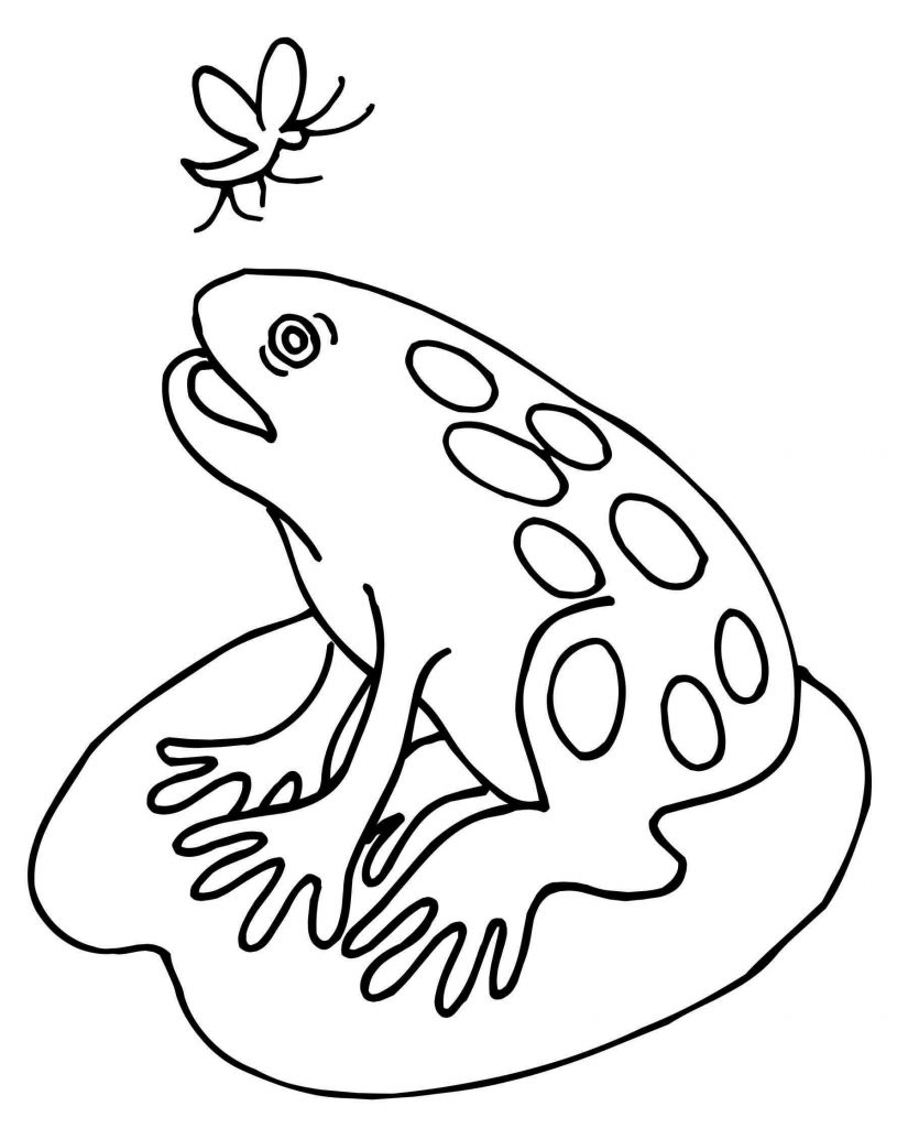 Coloriage Grenouille et Moustique à imprimer