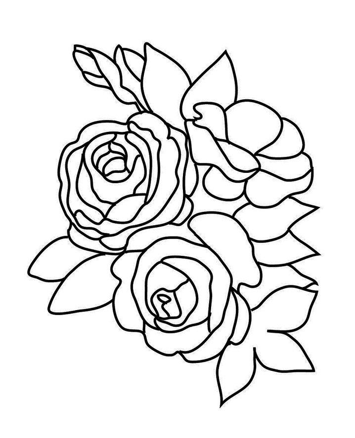 Coloriage Roses Simples à imprimer