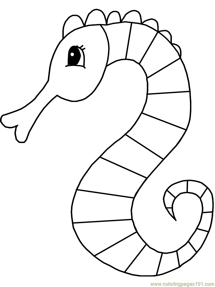 Coloriage Hippocampe Simple à imprimer