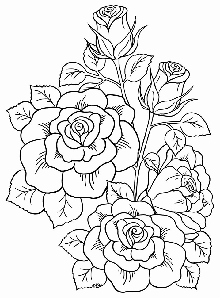 Coloriage Roses Hautaines
