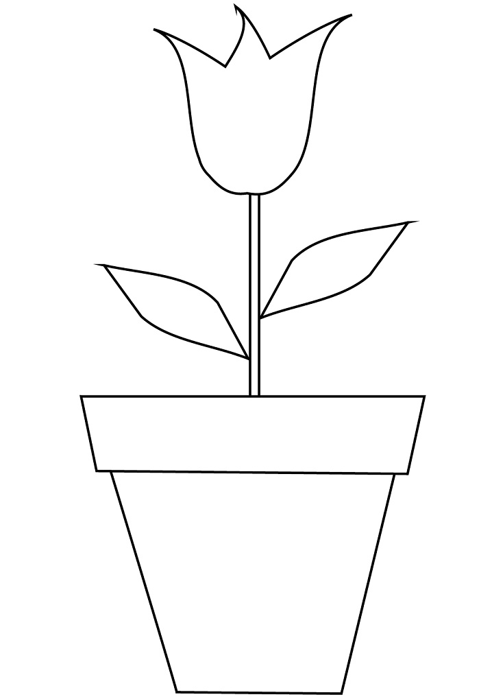 Coloriage Tulipe en pot à imprimer