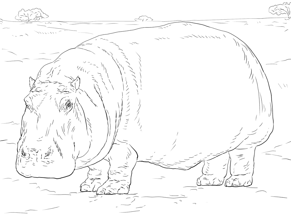 Coloriage Un Hippopotame à imprimer