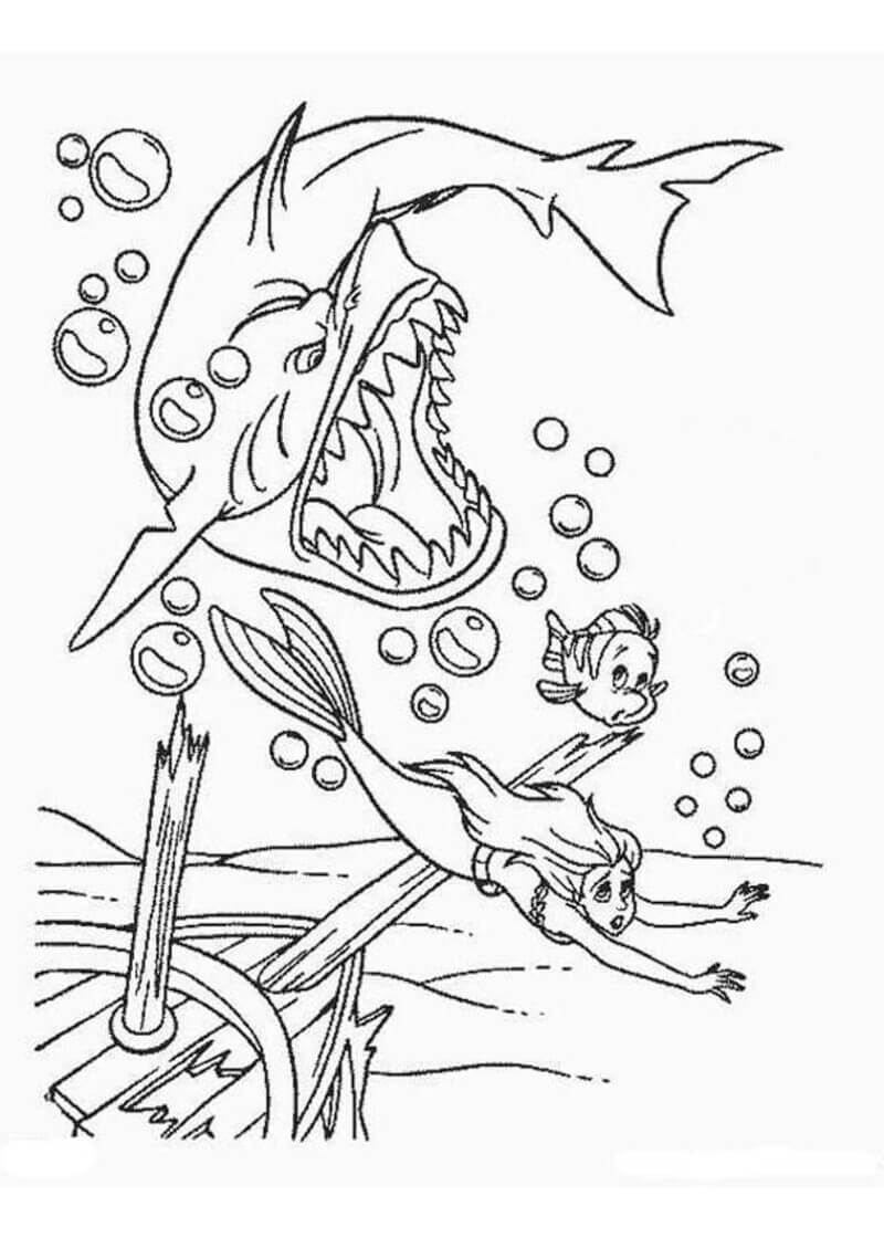 Coloriage Ariel et le requin à imprimer