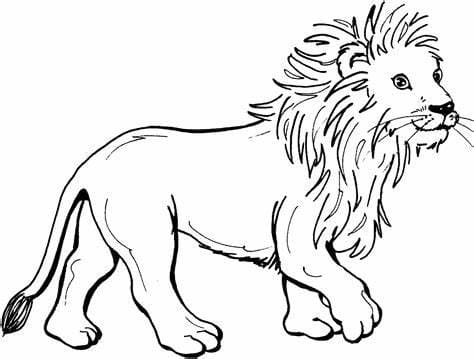 Coloriage Beau lion