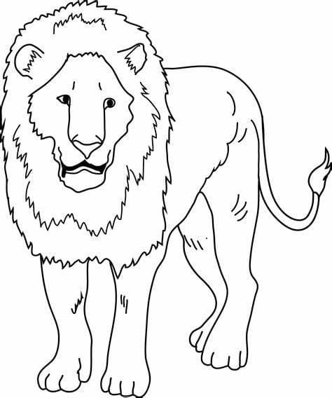 Coloriage Beau Lion Gratuit