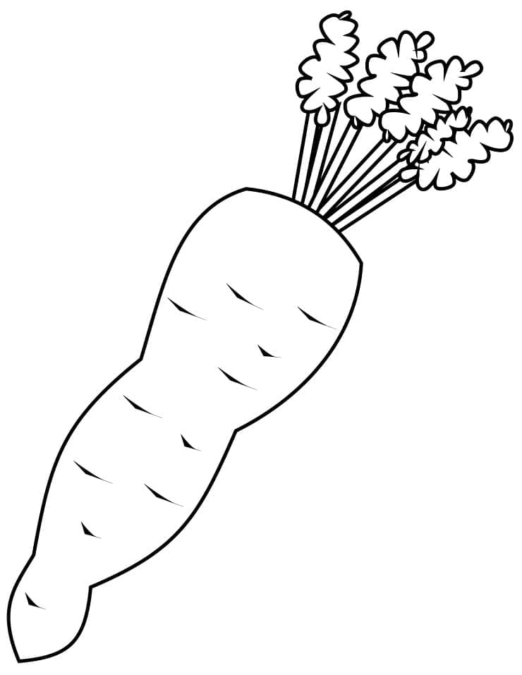 Coloriage Carottes imprimable pour les enfants à imprimer