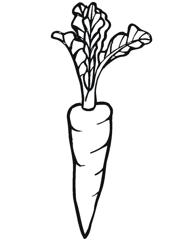 Coloriage Carottes pour enfants à imprimer
