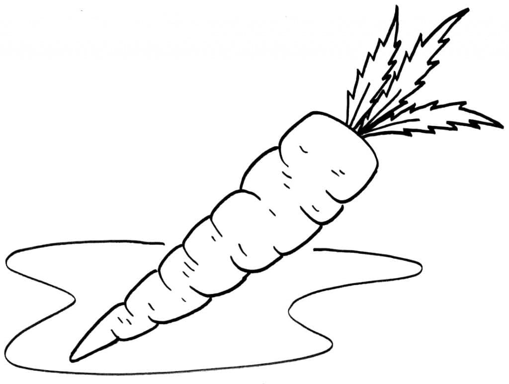 Coloriage Carottes pour les enfants à imprimer