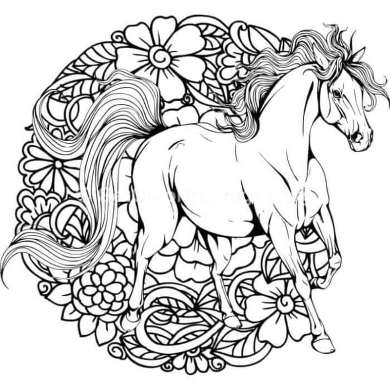 Coloriage Cheval incroyable