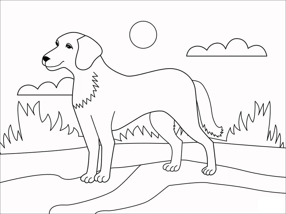 Coloriage chien 1