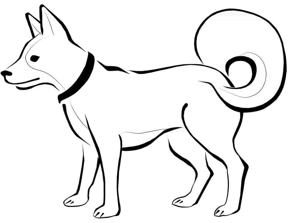 Coloriage chien esquimau