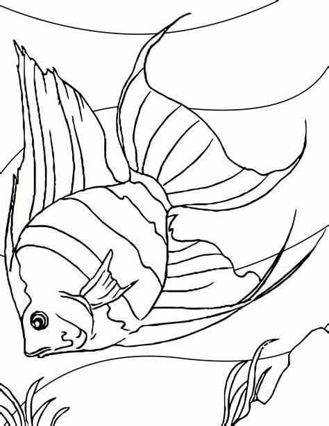 Coloriage Contour de poisson imprimable à imprimer