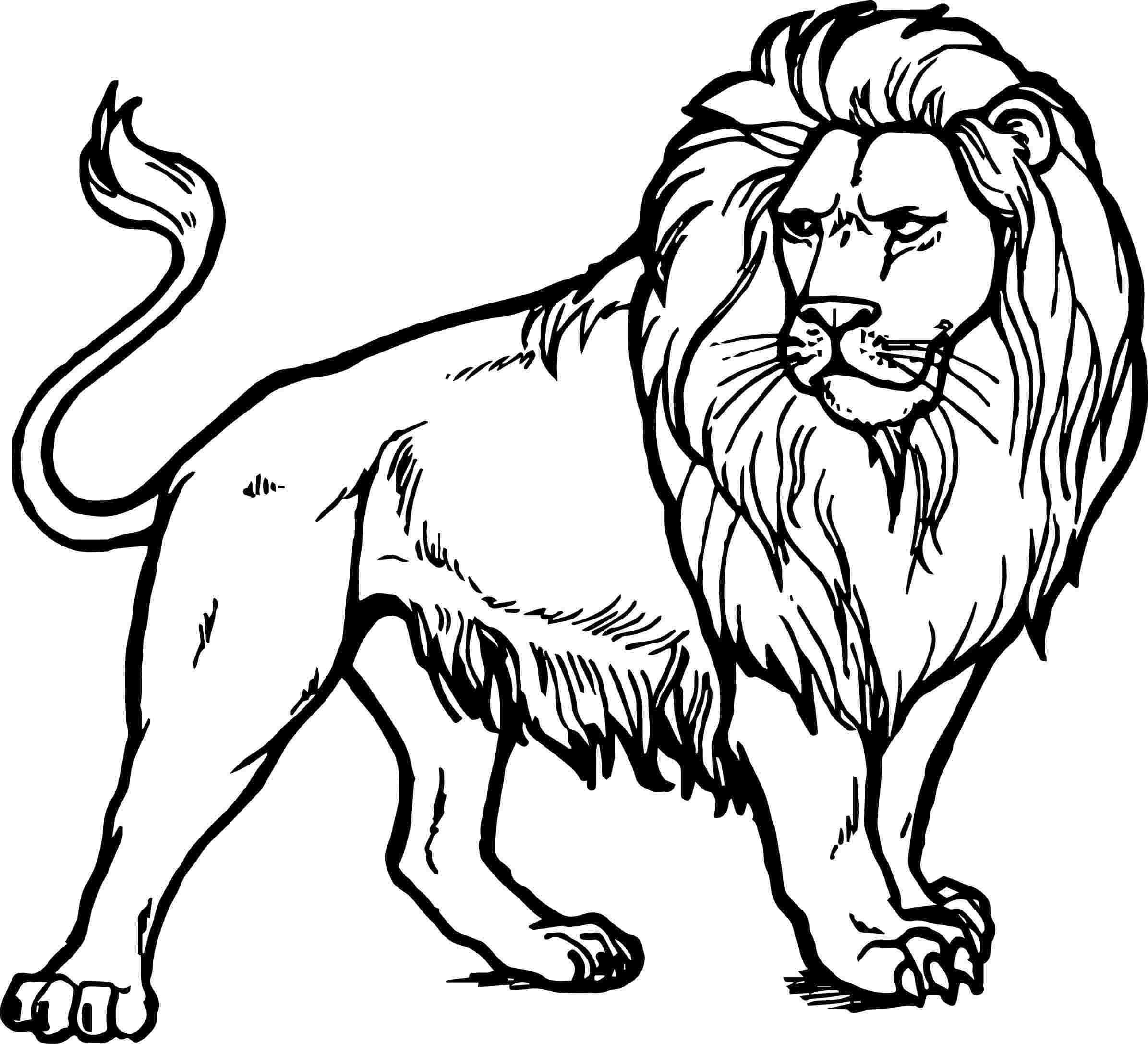 Coloriage Dessin de lion