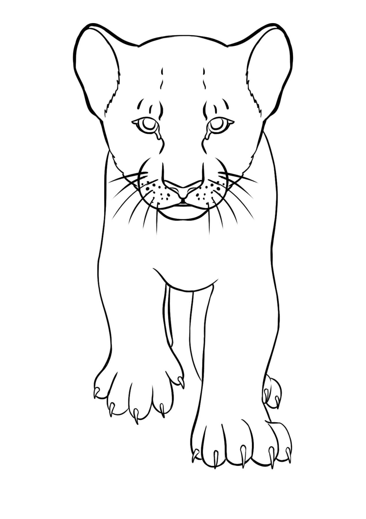 Coloriage Dessine un lion cool qui marche