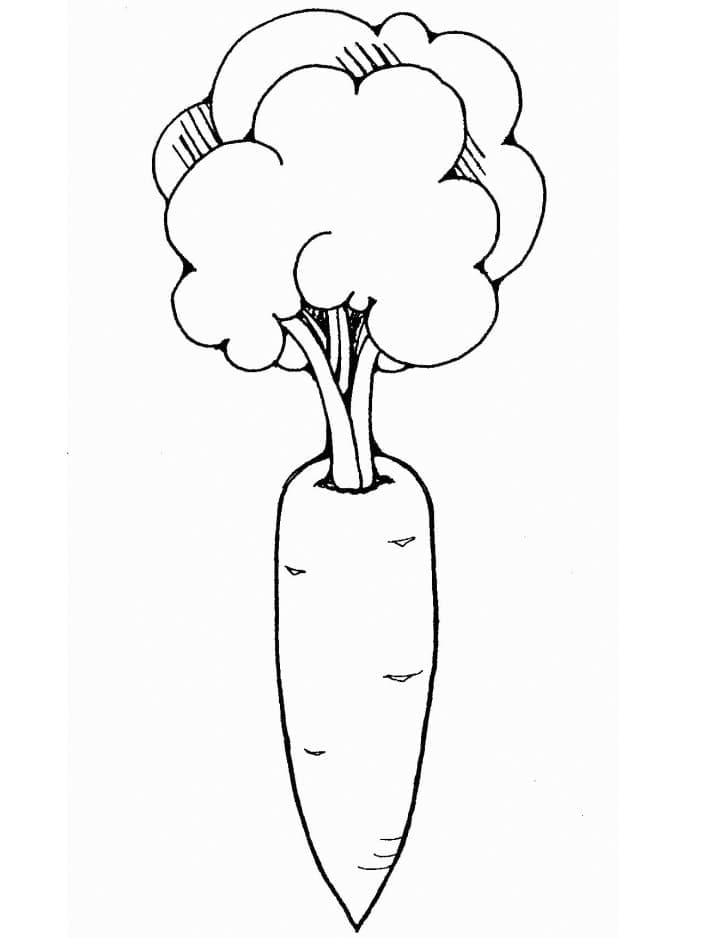 Coloriage Dessiner carottes gratuite à imprimer