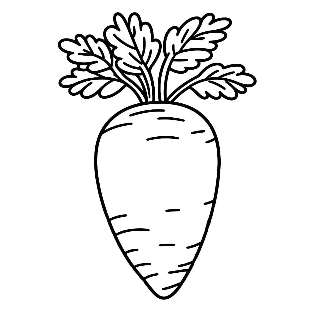 Coloriage Dessiner carottes pour enfant à imprimer