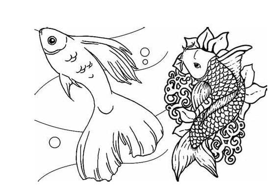 Coloriage Dessiner des poissons à imprimer