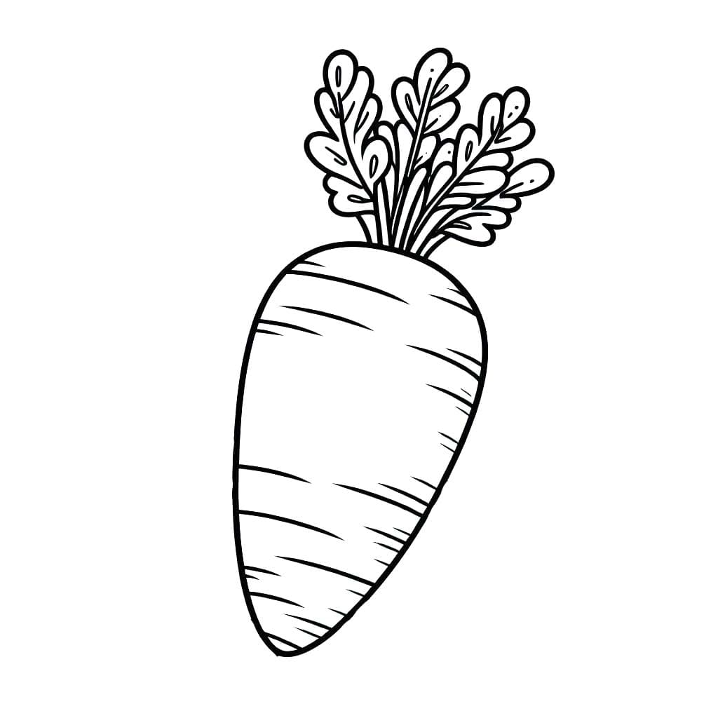Coloriage Dessiner gratuite carottes à imprimer