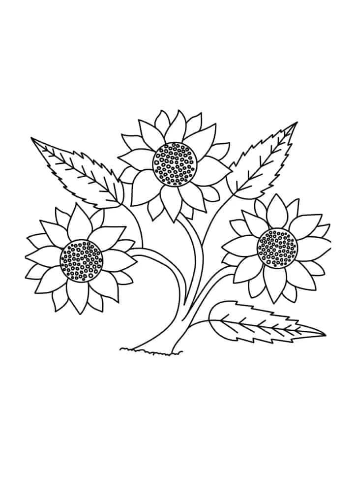 Coloriage Dessiner tournesol simple à imprimer