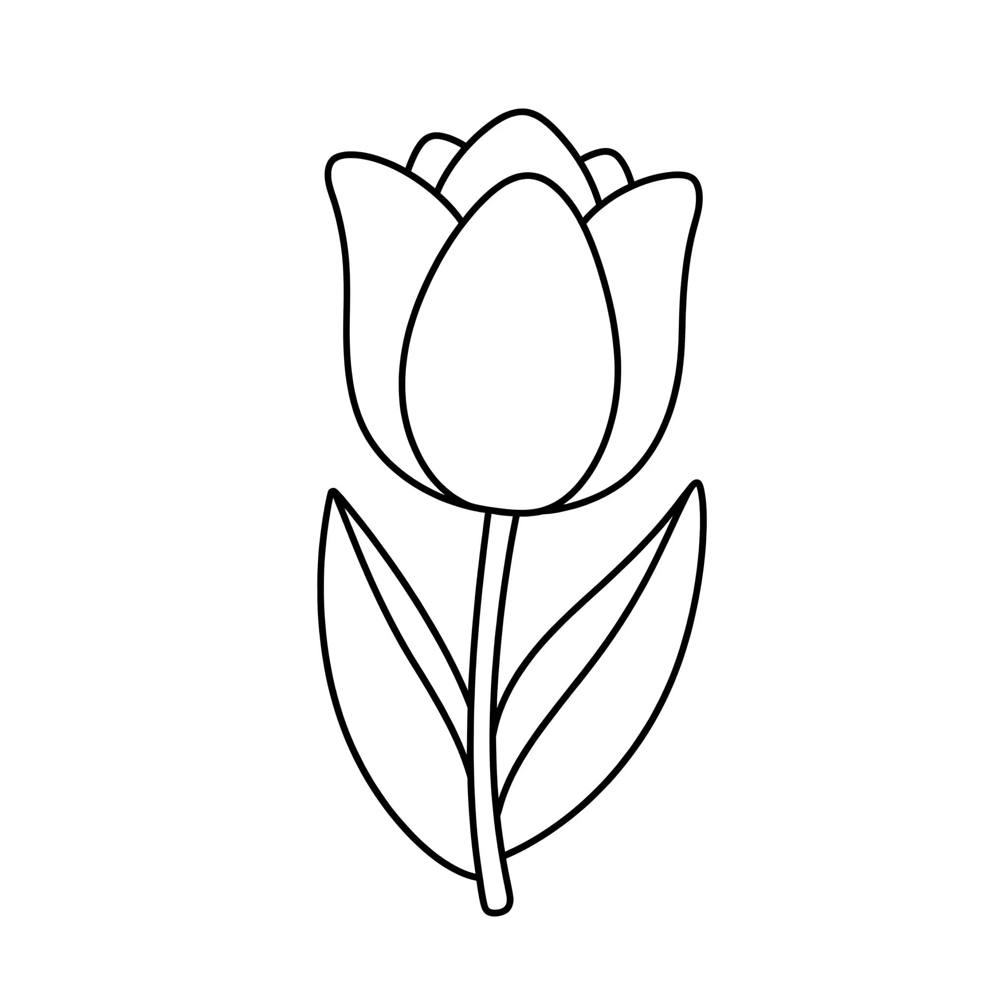 Coloriage Dessiner Tulipe facile à imprimer