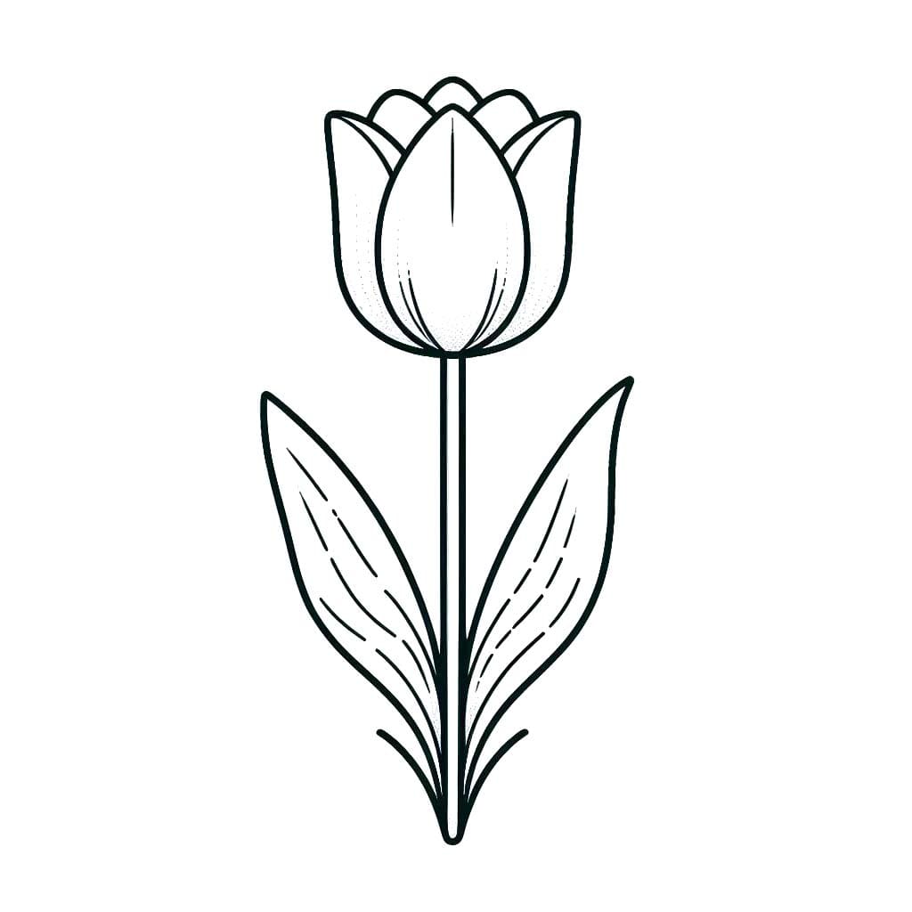 Coloriage Dessiner Tulipe gratuite pour les enfants à imprimer