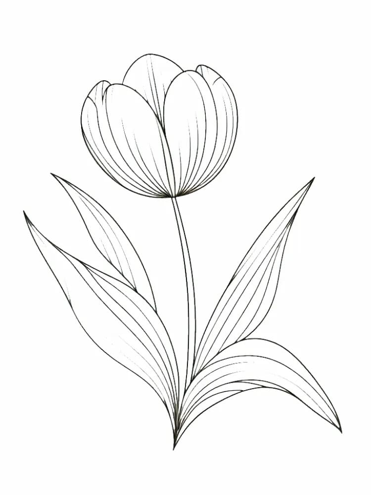 Coloriage Dessiner Tulipe imprimable pour les enfants à imprimer