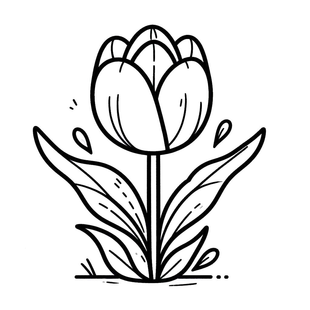 Coloriage Dessiner Tulipe pour les enfants à imprimer