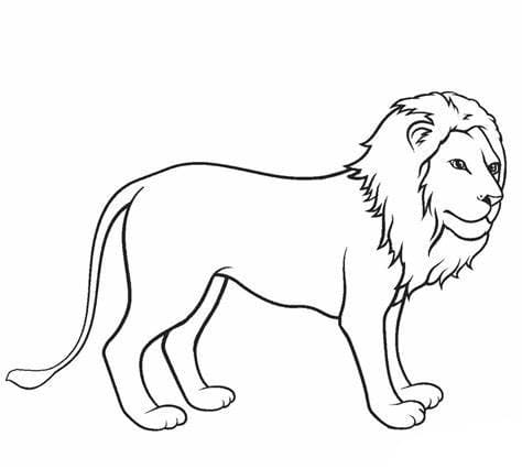 Coloriage Dessiner un lion gratuitement