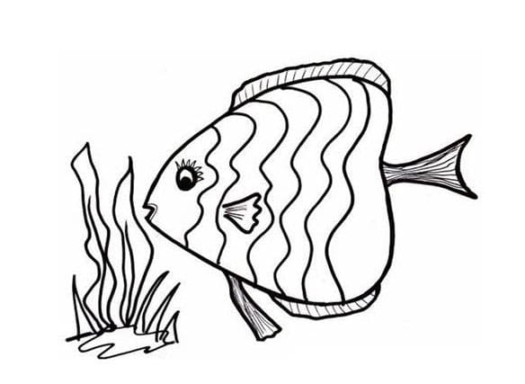 Coloriage Du poisson gratuit pour les enfants à imprimer