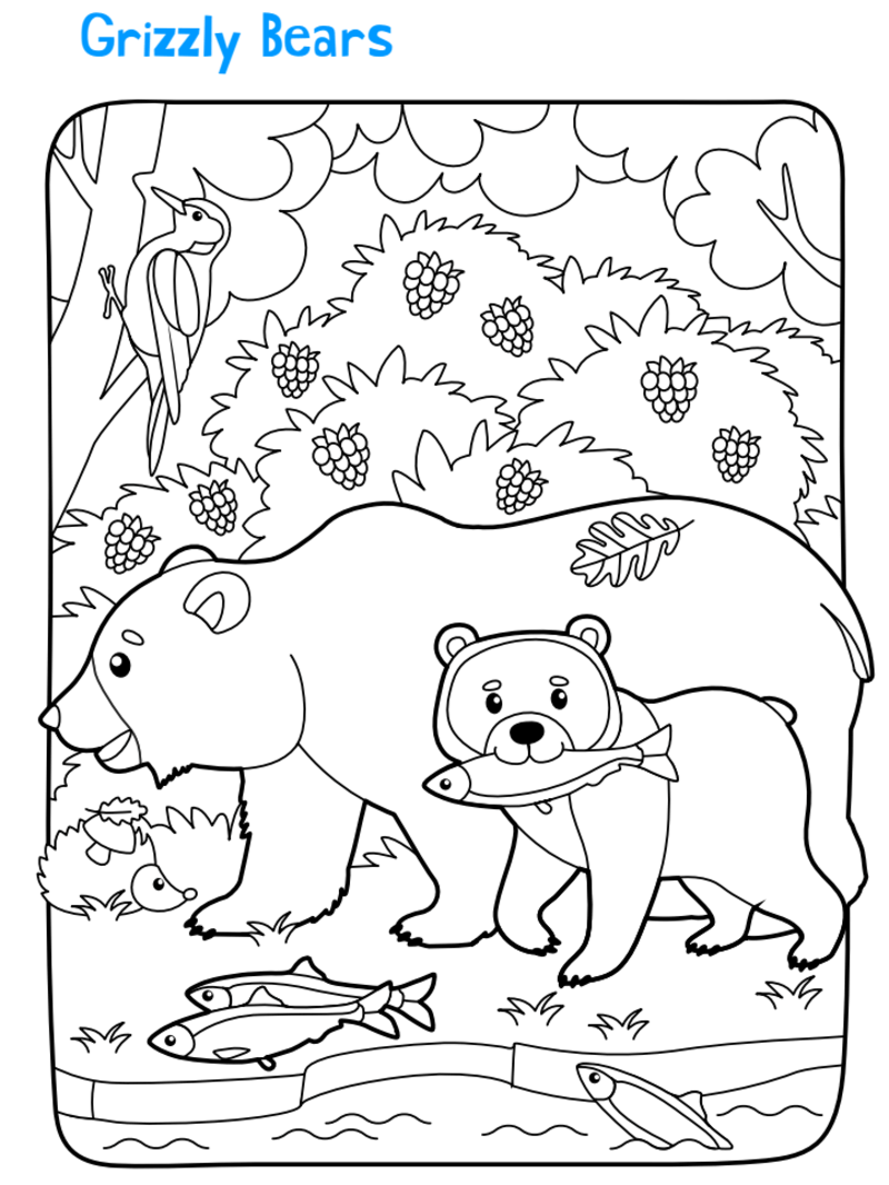 Coloriage Grizzly à imprimer
