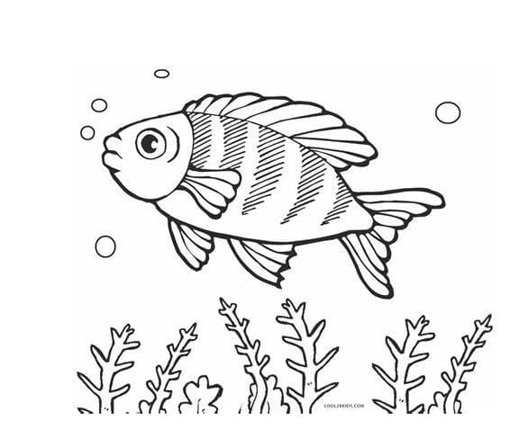 Coloriage Image de poisson à imprimer gratuitement à imprimer