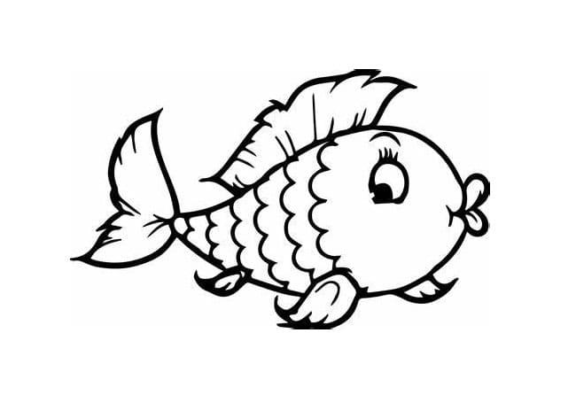 Coloriage Image de poisson mignon à imprimer