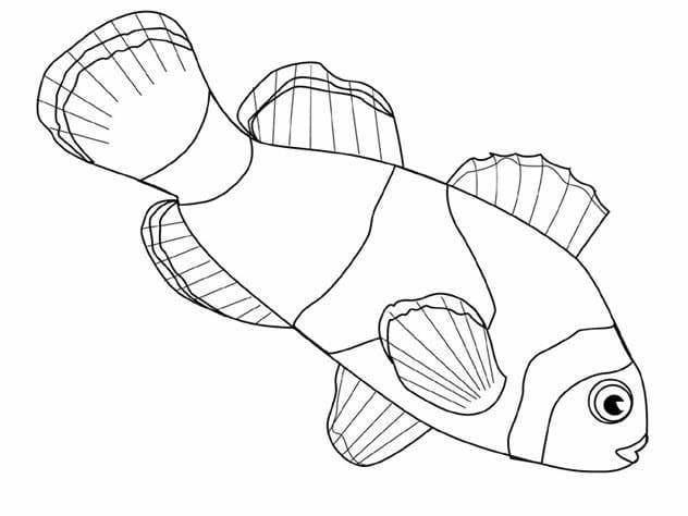 Coloriage Imprimer le contour du poisson