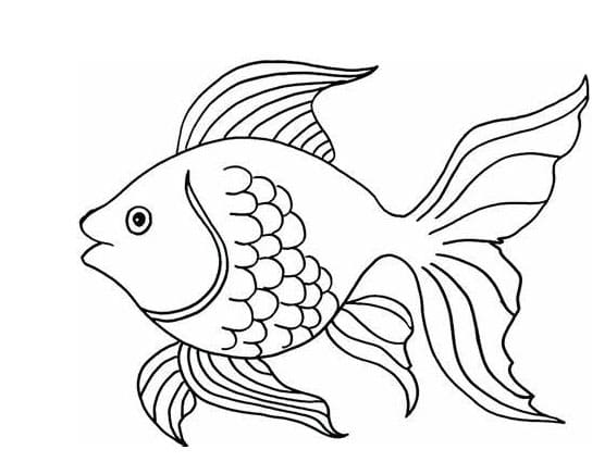 Coloriage Imprimer Poisson JPG à imprimer