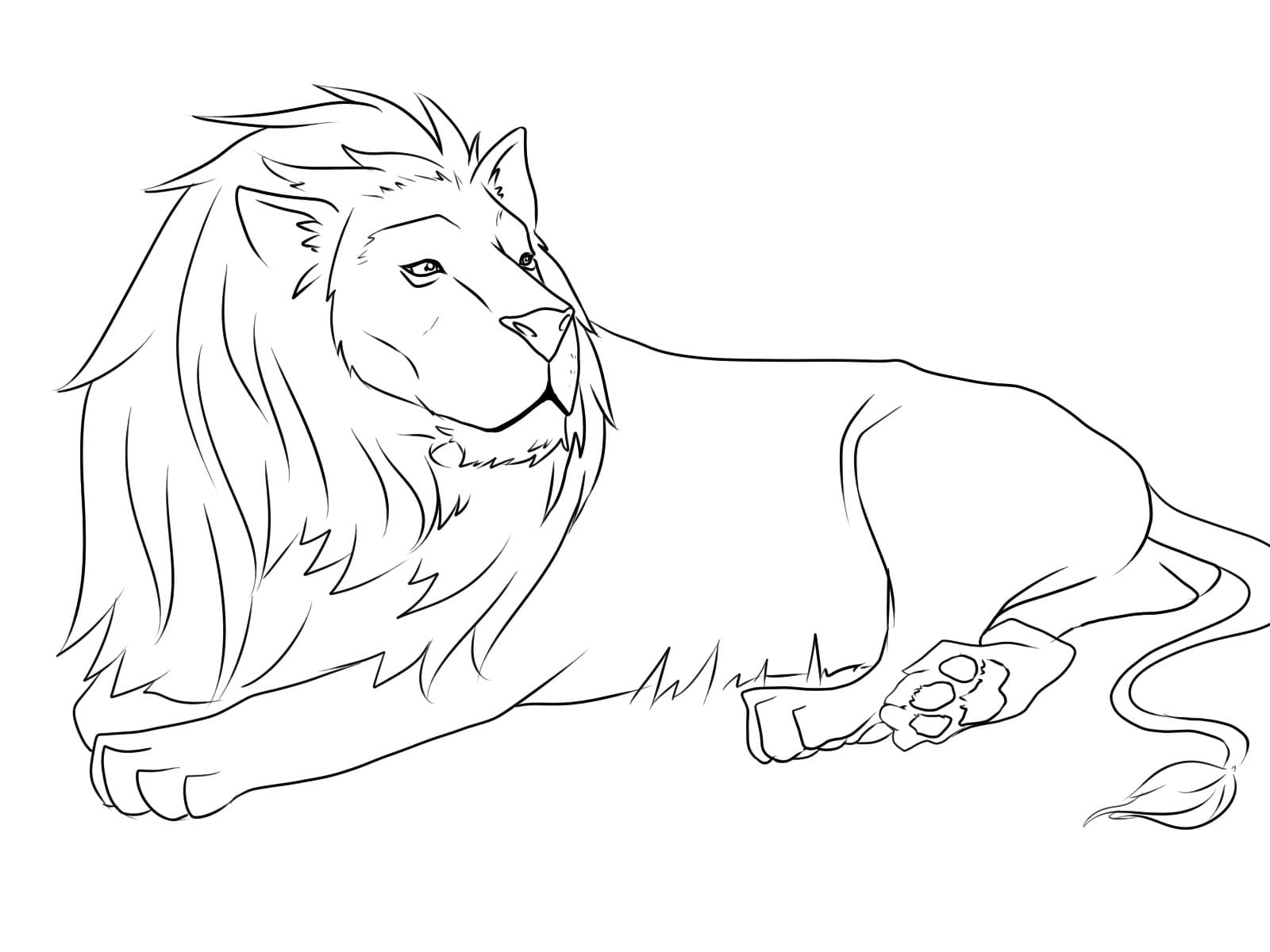 Coloriage Lion couché