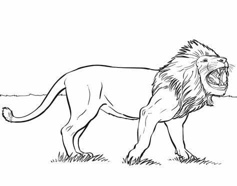 Coloriage Lion en colère