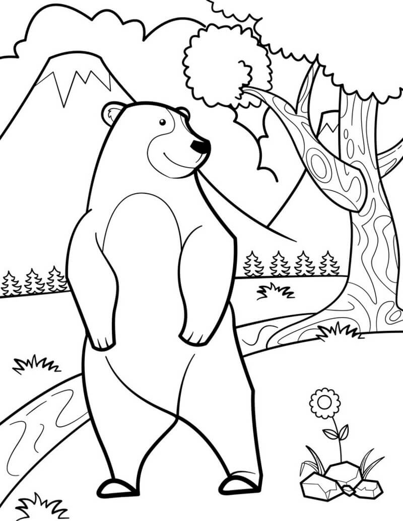 Coloriage L’ours est debout avec 2 pattes à imprimer