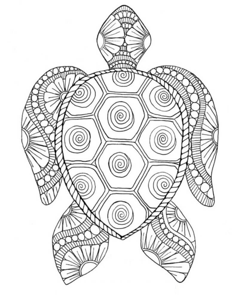 Coloriage Magnifique tortue de mer à imprimer