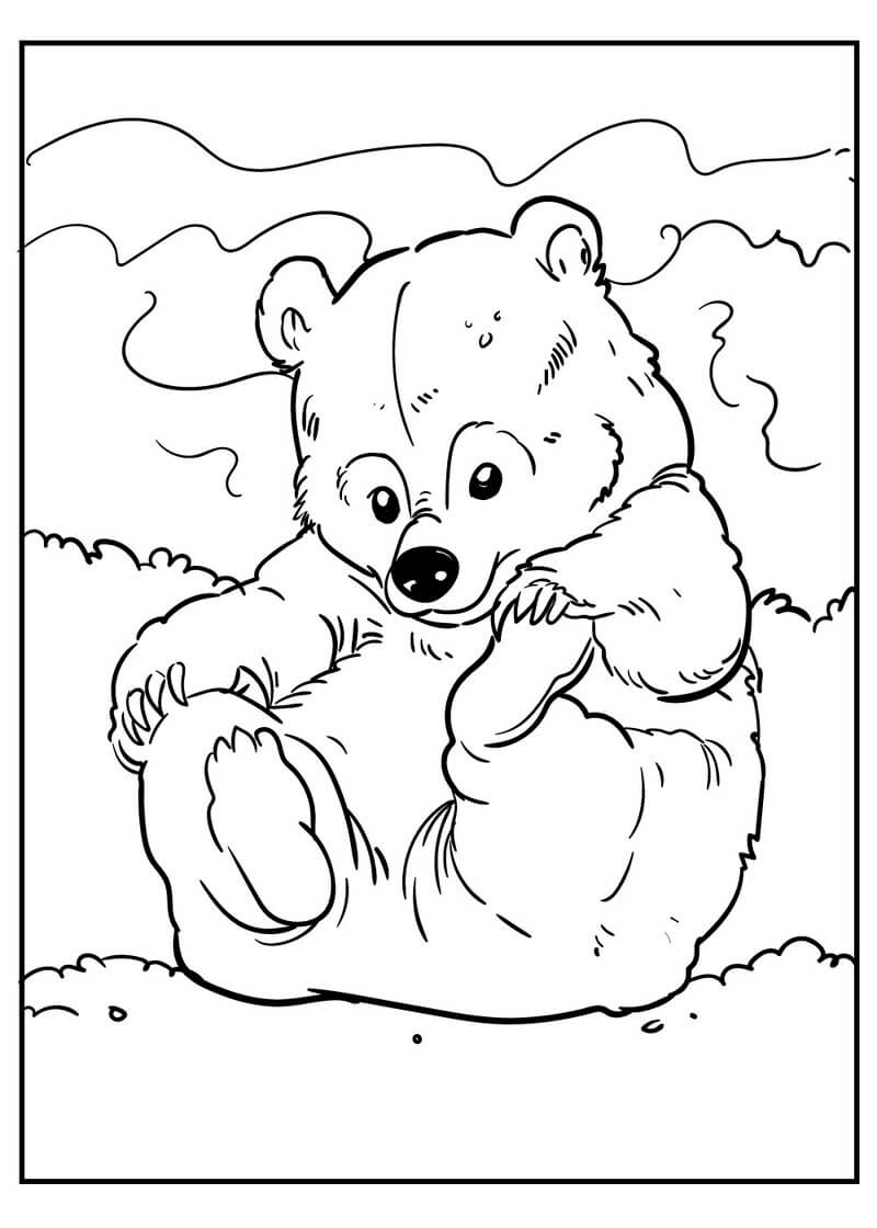 Coloriage Petit ours à imprimer