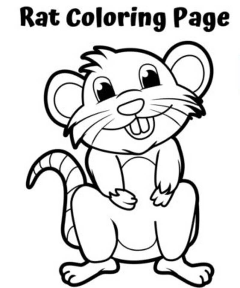 Coloriage Rat souriant mignon à imprimer
