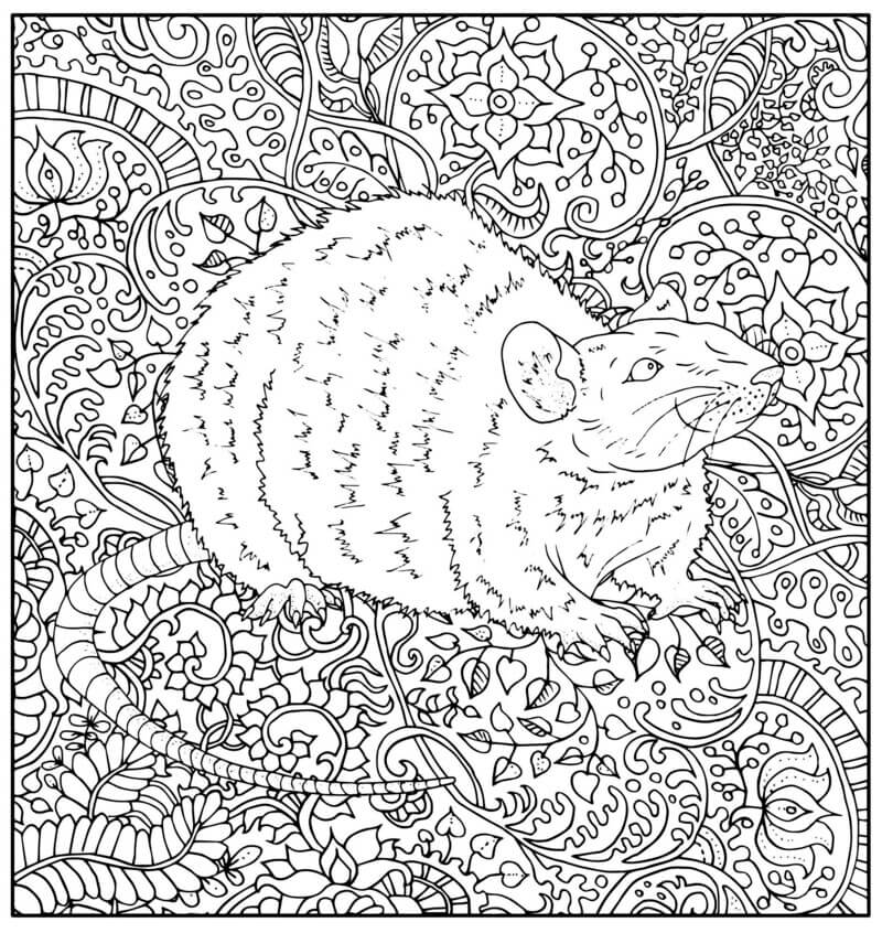 Coloriage Rat sur motif floral à imprimer