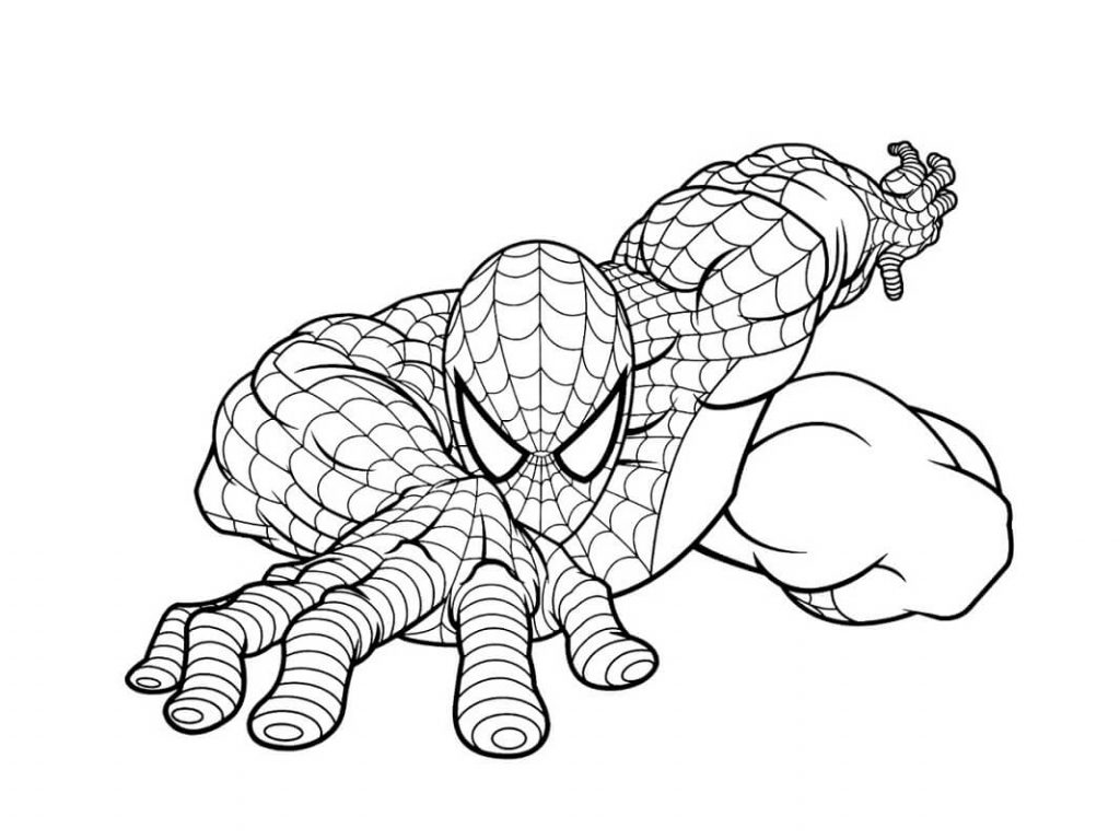 Coloriage spiderman 10 à imprimer