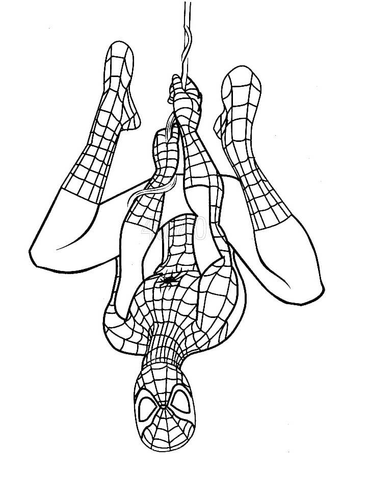 Coloriage Masque de Spiderman - Sans Dépasser