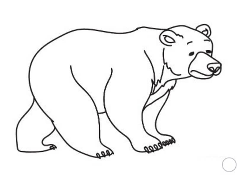 Coloriage The bear is closing his eyes